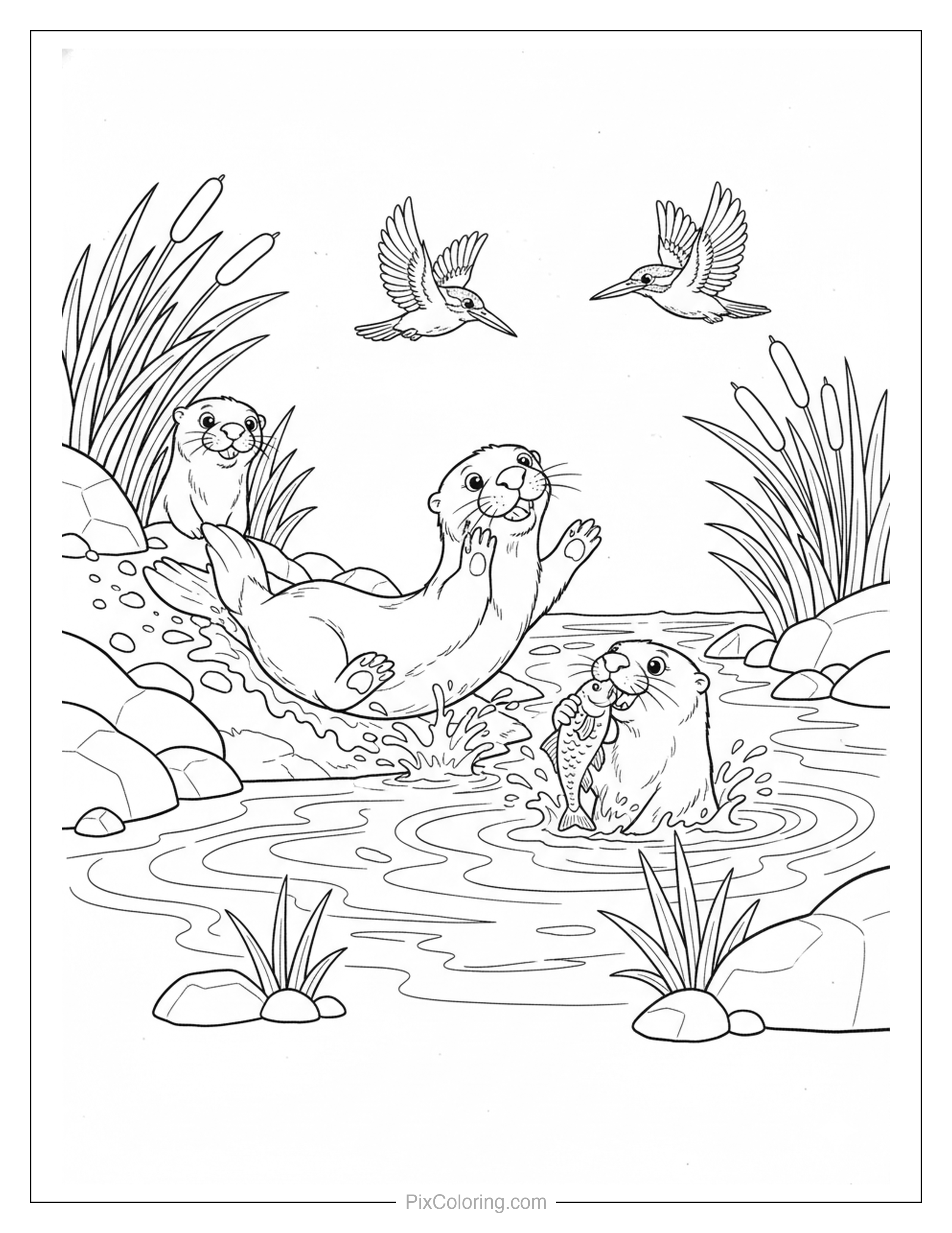 Three playful otters splashing in a rocky river with hummingbirds flying above reeds and grasses coloring page for kids